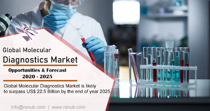 Molecular Diagnostics Market Share & Global Forecast, By Application - Renub Research