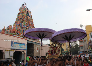 Karthigai,Ammavasya,Purappadu,2016, Video, Divya Prabhandam,Triplicane,Thiruvallikeni,Utsavam,