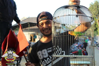 Lovebird KACEL milik Rio dari Kepiting Talok 