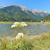 CASCADES DE LA LARRI I DEL CINCA.