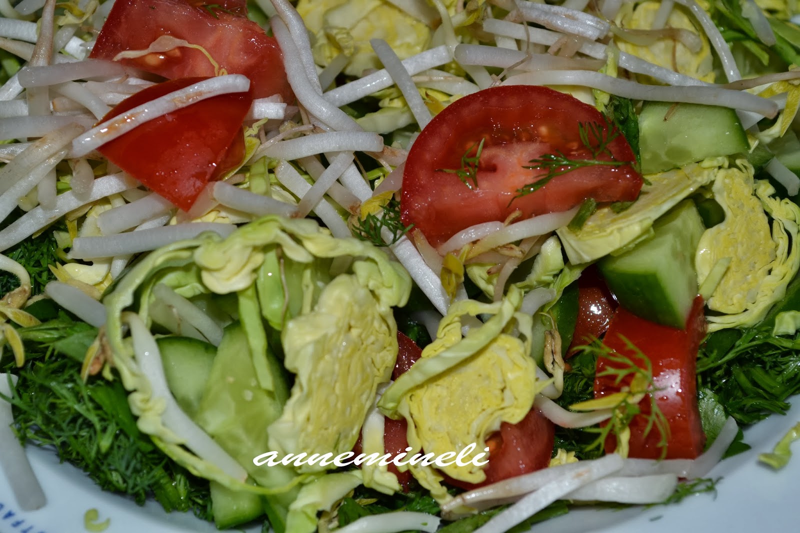 soya filizli ve bruksel lahanali karisik salata 3