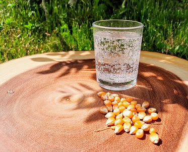 A glass of seltzer water and popcorn kernels are sitting on a tree stump.