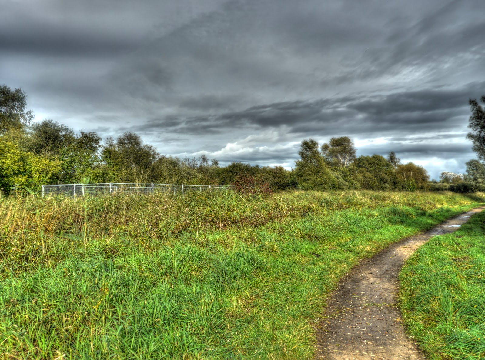 P1190056And7more_tonemapped.jpg