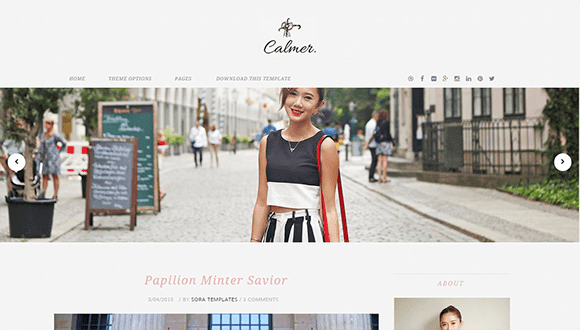 Download Calmer Simple or Personal Blogger Template Free
