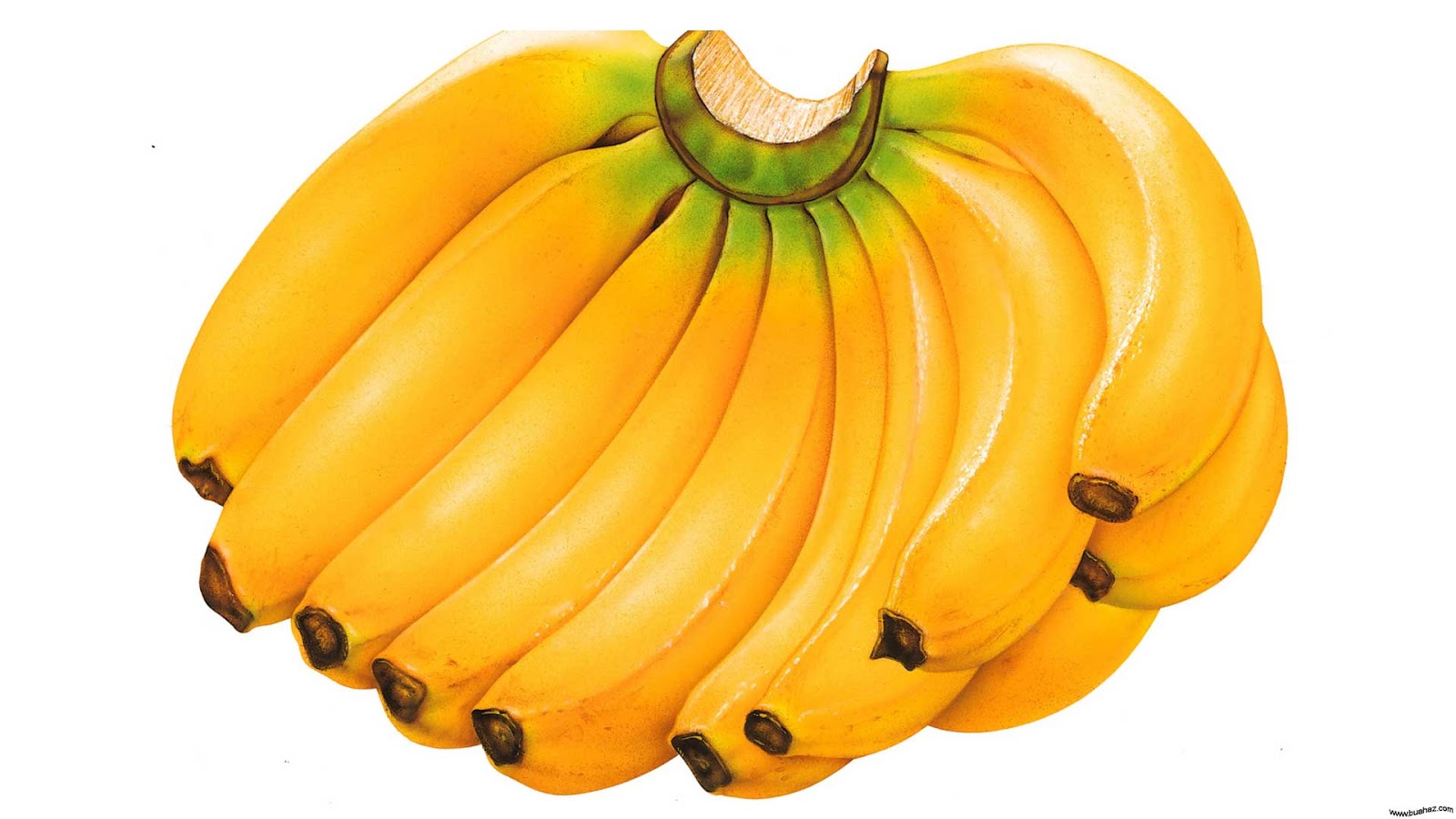 20 Wallpaper Gambar Buah  Pisang  www buahaz com