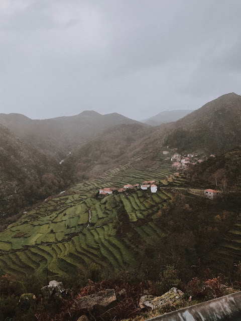 View of a green landscape 