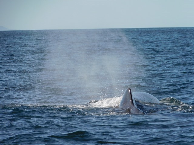DSCN8507