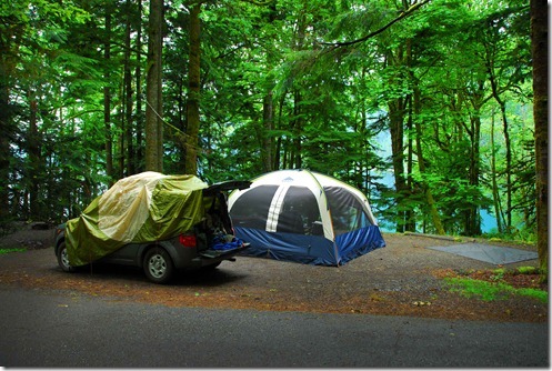 Fairholme Campsite 1