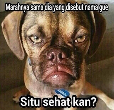 20 Meme Lucu 'Situ Waras?' Ini Menguji Tingkat Kesehatan Berpikir Kita