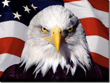 Photoshop_Eagle_and_flag_012327_