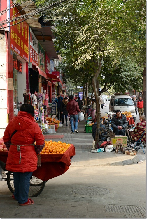 DSC_6928LR_Chengdu