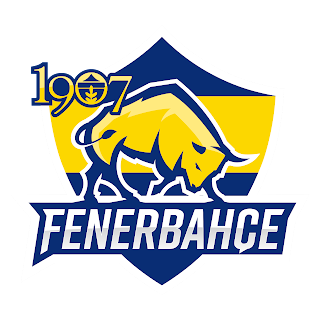 1907 Fenerbahçe Esports