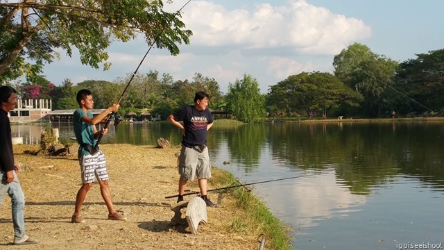 Fishing for Giant Mekong Catfish with the experts at Bo Sang Fishing Park in Chiangmai
