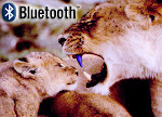 About Blue tooth