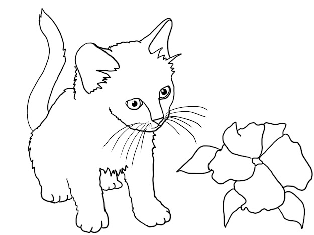 Printable Kitten Coloring Pages Cartoonrocks