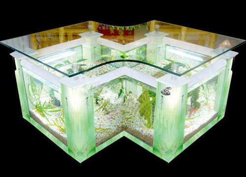 Freshwater Aquarium Tank - What to Buy and How to Set it Up