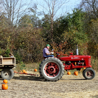 fall family fun