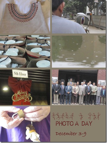 photo-a-day-week-49