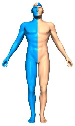 Brain Right And Left Side Functions