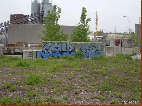 DSCN0257