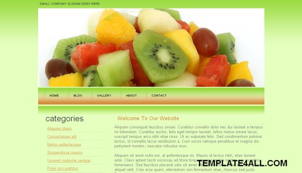 food website. Kiwi Green Food CSS Website