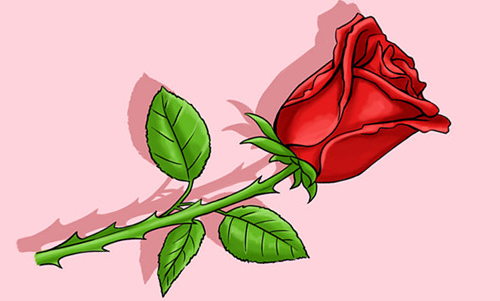 How to draw a Rose