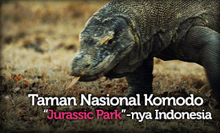 3 Keajaiban Unik yang Ada di Pulau Komodo