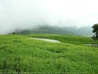 palakkad