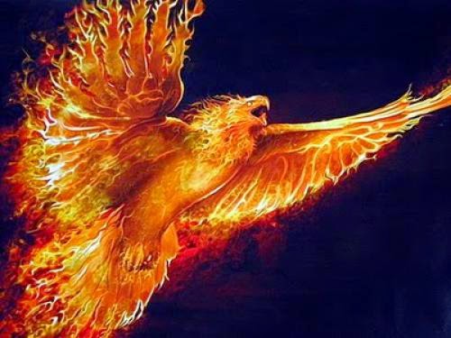 Some Magical Animal Correspondences