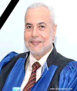الأستاذ الدكتور حسام الدين عزب