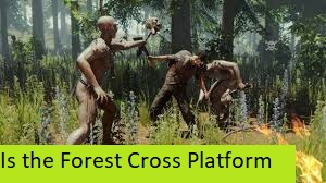 Is the Forest Cross Platform