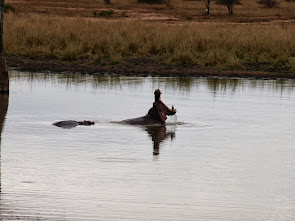 Sudafrica Kruger National Park