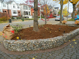 Toronto Fall Cleanup Front Garden After in Bedford Park by Paul Jung Gardening Services--a Toronto Gardening Company