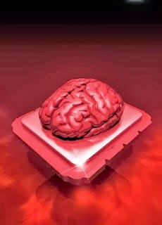 tips mempertajam daya ingat otak manusia