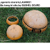 Hạt Giống Bầu Khổng Lồ BUSHEL GOURD ( Gourd Ornamental Bushel ) LAG00021