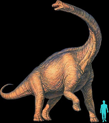 brachiosaurus