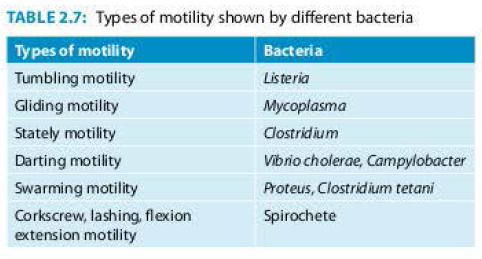 Different types of bacterial motility
