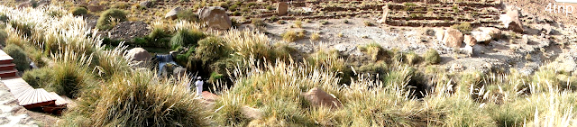 Deserto do Atacama