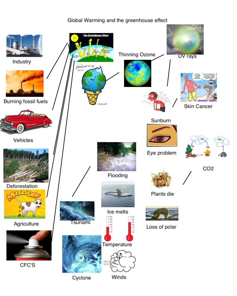 flow chart labels Warming 2013: & Effect Greenhouse Global 6A the