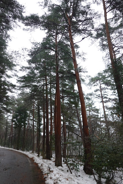 鳥取県西伯郡伯耆町丸山 ロイヤルシティ大山