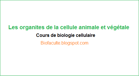 Les organites de la cellule animale et végétale