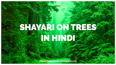 पेड़ पर शायरी  Shayari on Trees