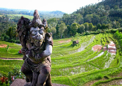 green holiday in Bali, Metekap, Bali rice fields, terraced rice fields of Bali, holiday in Bali, travel to Bali, rice field tour in Bali