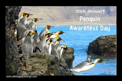 world penguin awareness day 2020 image