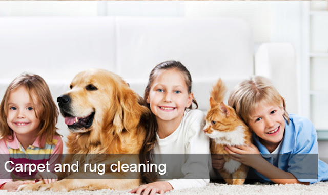 office carpet cleaning Gold Coast