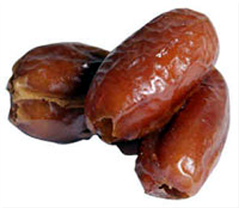 kurma.png