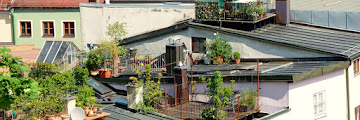 How to Design a Garden on the Roof of the House