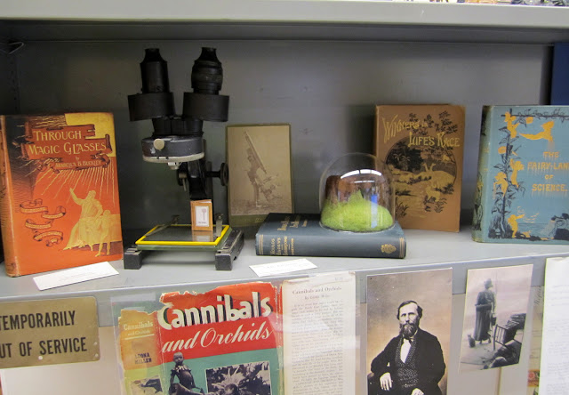 Customer photo of wool tree stump display in library at Harvard University