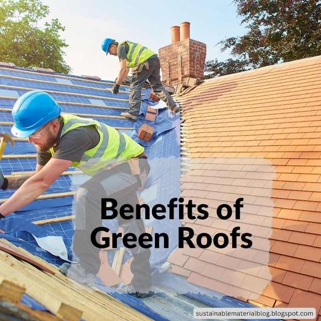 Green roofs provide a range of benefits, from reducing energy costs to mitigating stormwater runoff. Explore the advantages of this sustainable solution with our informative infographic.