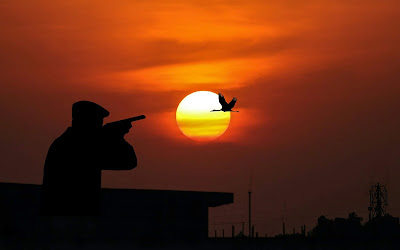 hunting, bird, sun, dusk, weapon, shotgun, sky, natur, gun, sport, black, shot, traveling, target, armed, rifle, ammunition, bullet, handgun, vintage, outline, old